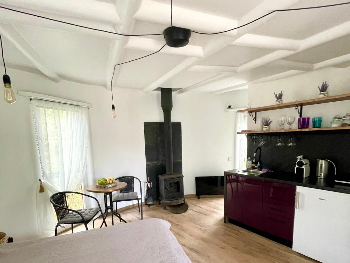 Round House Apartment Sigulda Exterior photo